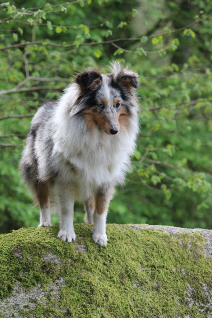 Vague-de-east blue Des Truffes De L'Ouest
