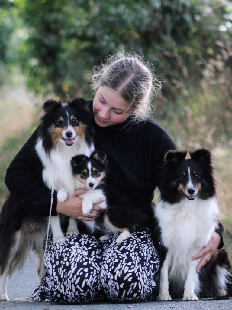 Amazing star Des Truffes De L'Ouest